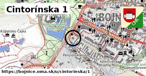 Cintorínska 1, Bojnice