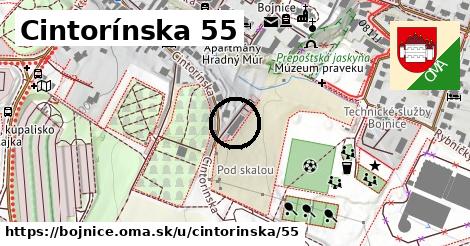 Cintorínska 55, Bojnice