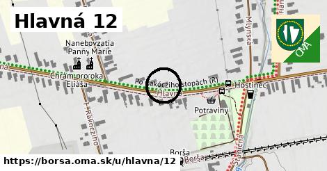 Hlavná 12, Borša