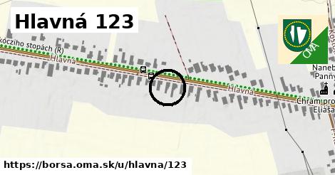 Hlavná 123, Borša