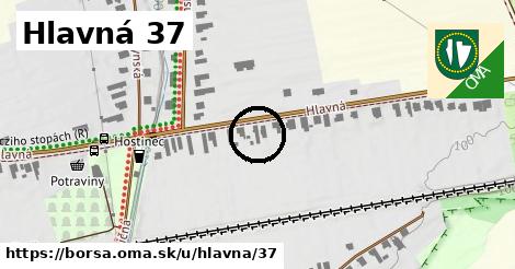 Hlavná 37, Borša