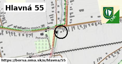 Hlavná 55, Borša