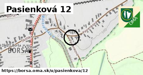 Pasienková 12, Borša