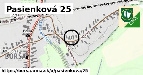 Pasienková 25, Borša