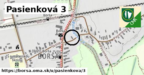 Pasienková 3, Borša