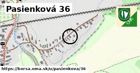 Pasienková 36, Borša