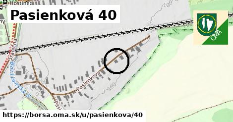 Pasienková 40, Borša