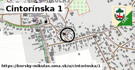 Cintorínska 1, Borský Mikuláš