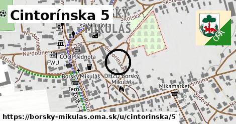 Cintorínska 5, Borský Mikuláš