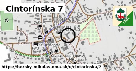 Cintorínska 7, Borský Mikuláš