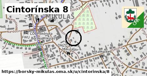 Cintorínska 8, Borský Mikuláš