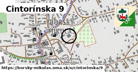 Cintorínska 9, Borský Mikuláš