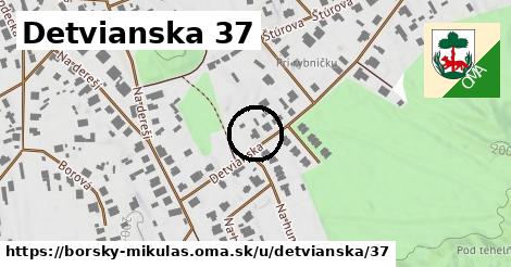 Detvianska 37, Borský Mikuláš