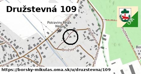 Družstevná 109, Borský Mikuláš