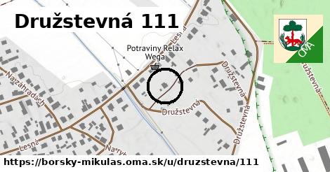 Družstevná 111, Borský Mikuláš