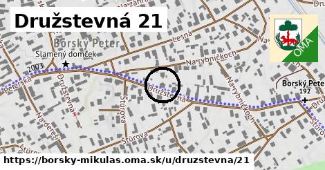 Družstevná 21, Borský Mikuláš