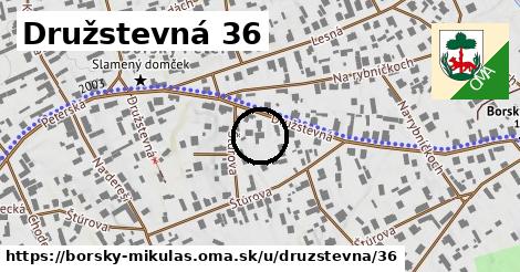 Družstevná 36, Borský Mikuláš