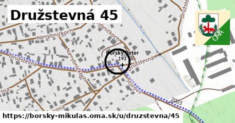 Družstevná 45, Borský Mikuláš