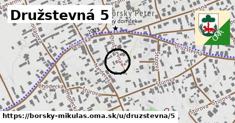 Družstevná 5, Borský Mikuláš