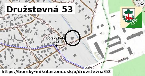 Družstevná 53, Borský Mikuláš