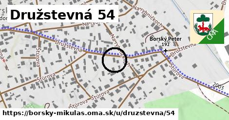 Družstevná 54, Borský Mikuláš