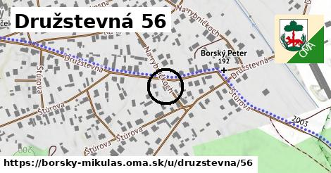 Družstevná 56, Borský Mikuláš