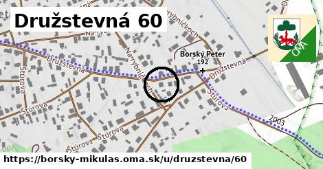 Družstevná 60, Borský Mikuláš