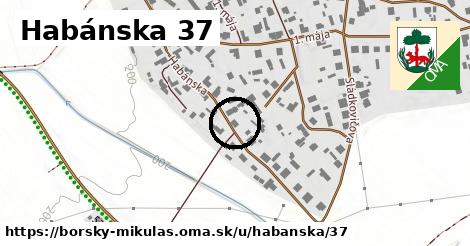 Habánska 37, Borský Mikuláš