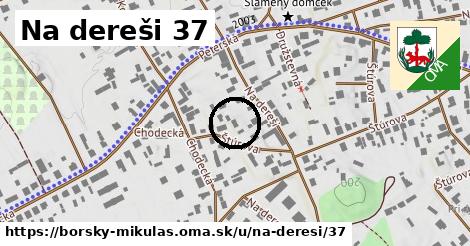 Na dereši 37, Borský Mikuláš