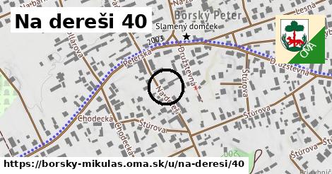 Na dereši 40, Borský Mikuláš