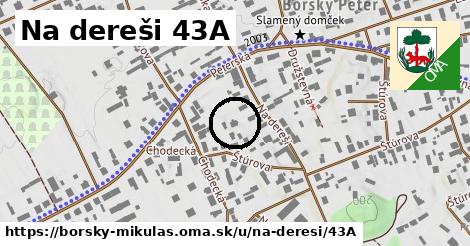 Na dereši 43A, Borský Mikuláš