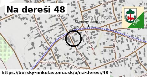 Na dereši 48, Borský Mikuláš