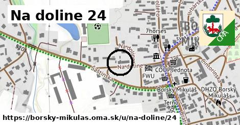 Na doline 24, Borský Mikuláš