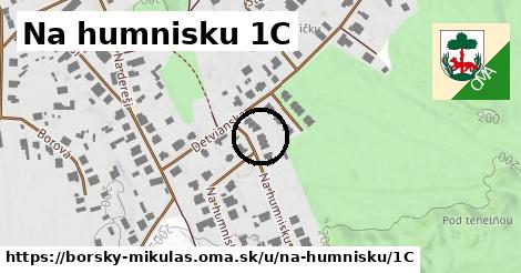 Na humnisku 1C, Borský Mikuláš