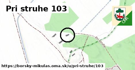 Pri struhe 103, Borský Mikuláš