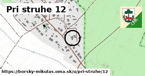 Pri struhe 12, Borský Mikuláš