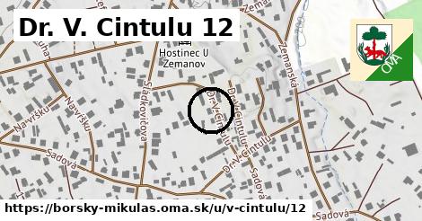 Dr. V. Cintulu 12, Borský Mikuláš