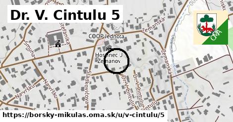 Dr. V. Cintulu 5, Borský Mikuláš