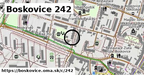Boskovice <span class="supisne">242</span>