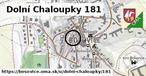 Dolní Chaloupky 181, Bošovice