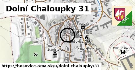 Dolní Chaloupky 31, Bošovice