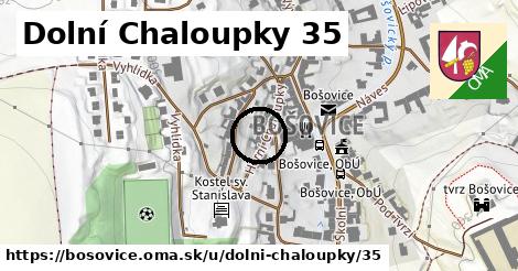 Dolní Chaloupky 35, Bošovice