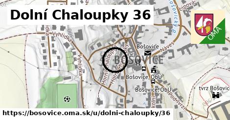 Dolní Chaloupky 36, Bošovice