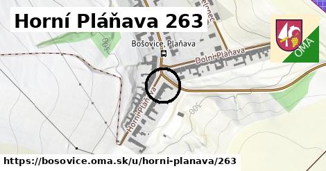 Horní Pláňava 263, Bošovice