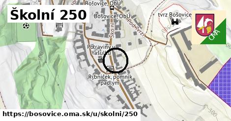 Školní 250, Bošovice