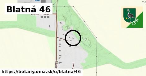 Blatná 46, Boťany
