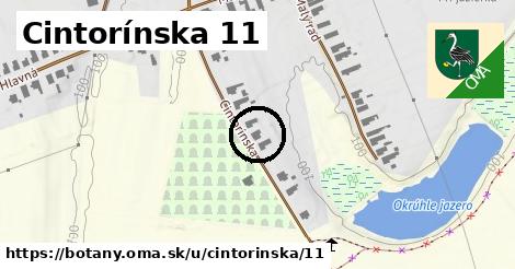 Cintorínska 11, Boťany