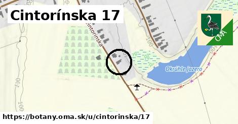 Cintorínska 17, Boťany