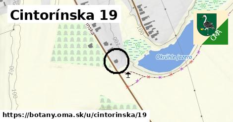 Cintorínska 19, Boťany