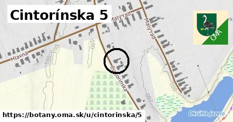 Cintorínska 5, Boťany